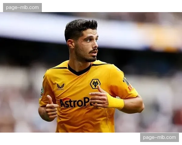 官方：狼队前锋内托因腿筋伤势赛季报销